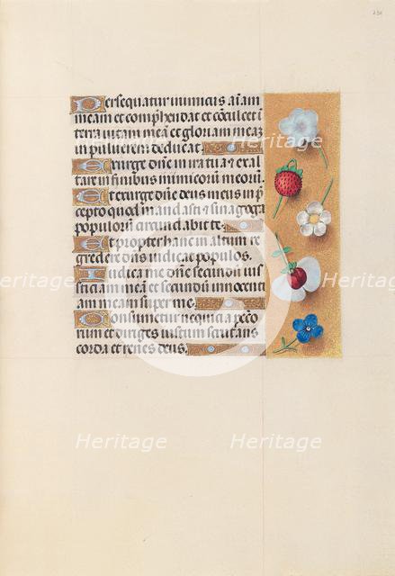 Hours of Queen Isabella the Catholic, Queen of Spain: Fol. 230r, c. 1500. Creator: Master of the First Prayerbook of Maximillian (Flemish, c. 1444-1519); Associates, and.