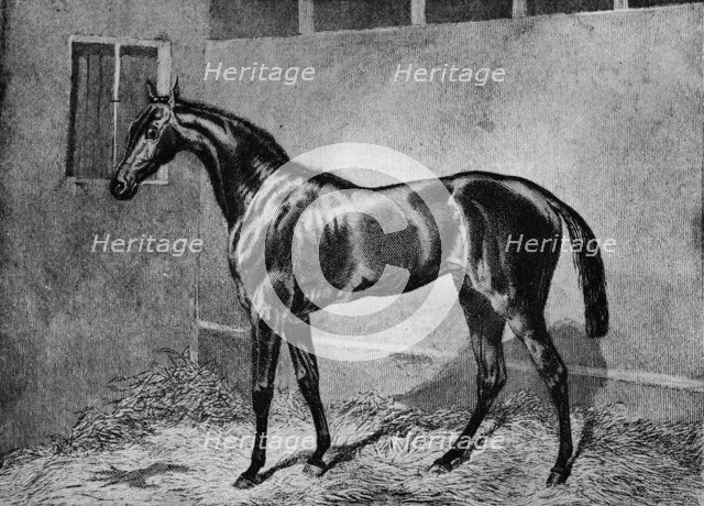 'Beadsman', 1855-1872, (1911). Artist: Unknown.