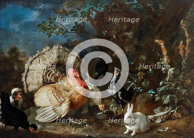 Poultry and rabbits, c1706. Creator: Franz Werner von Tamm.