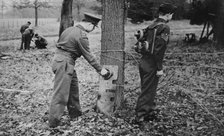 Demonstration of how to place limpet mines, c1943. Creator: British Government.