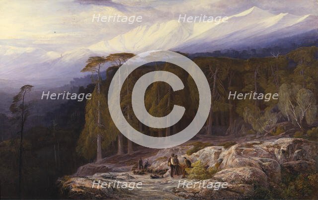 The Forest of Valdoniello, Corsica, 1869. Creator: Edward Lear.