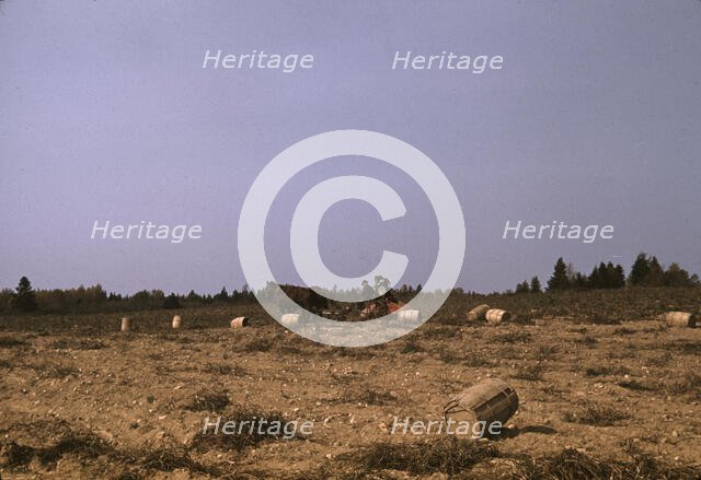 A horse-drawn digger in operation on a (potato) farm run by...Caribou, Aroostook county, Maine, 1940 Creator: Jack Delano.