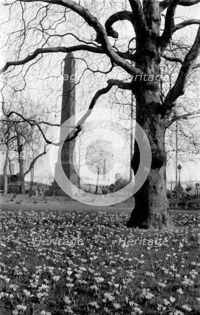 Cleopatra's Needle, London, c1945-c1965. Artist: SW Rawlings