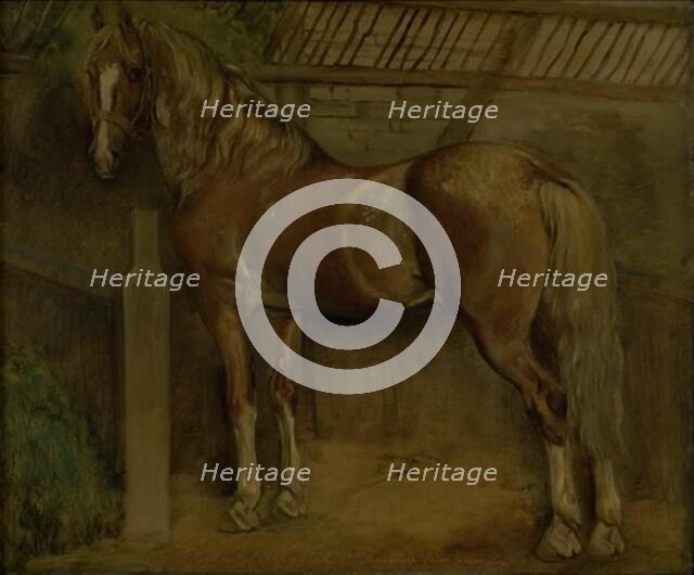 Sixteen-year-old stallion of the Knabstrup breed, 1847. Creator: Johan Thomas Lundbye.