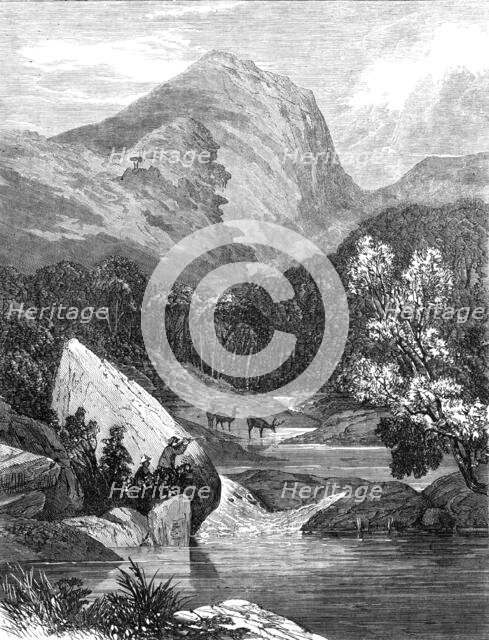 In a Brazilian forest: waiting for a shot, 1864. Creator: Unknown.