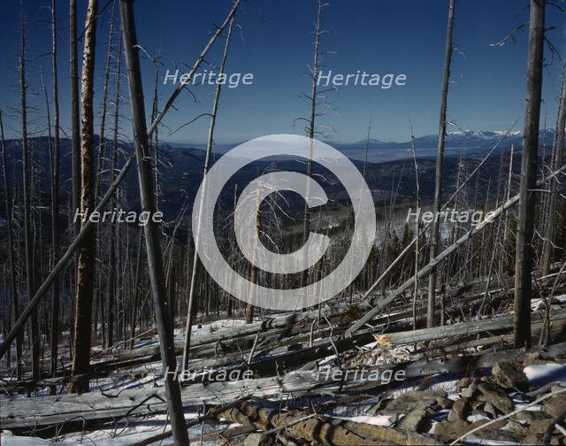 Sangre de Cristo Mountain, New Mexico, 1943. Creator: John Collier.