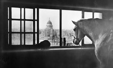 Horse overlooking St Paul's Cathedral from a mutli storey stable, London, 1920s. Artist: George Davison Reid