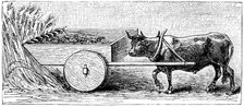 Reconstruction of reaping machine used in Gaul in Ancient Roman times, as described by Pliny, c1890. Artist: Unknown