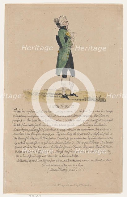 A New Insect, May 12, 1784., May 12, 1784. Creator: Thomas Rowlandson.