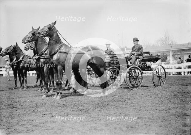 Horse Shows - Teams, 1911. Creator: Harris & Ewing.