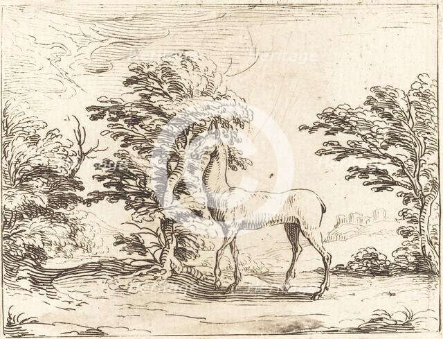 The Doe. Creator: Jacques Callot.