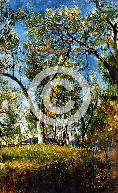 Landscape with Trees, c1920s. Creator: Annie Louisa Swynnerton.