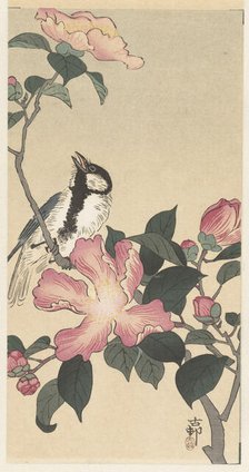 Great tit on branch with pink flowers. Creator: Ohara, Koson (1877-1945).