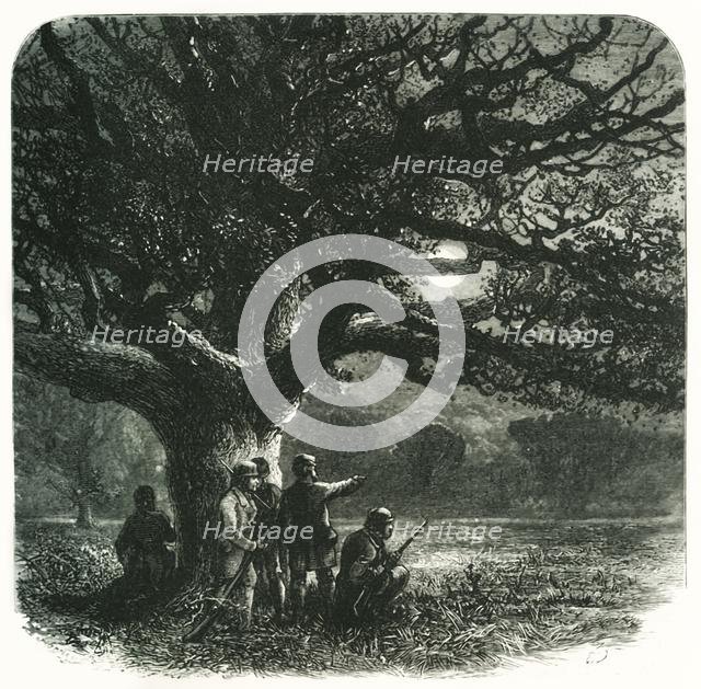 'The Watch Oak', c1870.