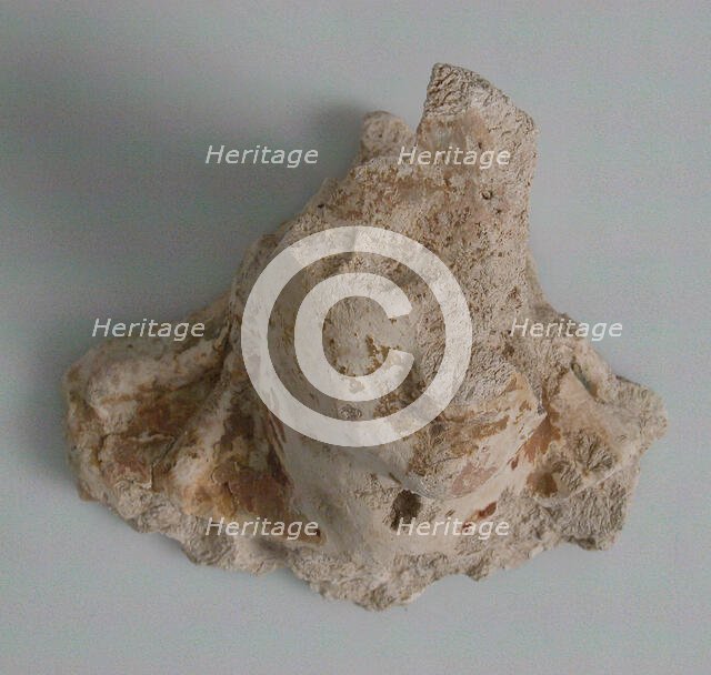 Head and Neck Fragment, Coptic, 4th-7th century. Creator: Unknown.