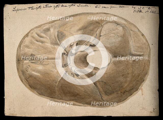 Interior of the base of the human skull, 1854/03/16. Creator: J.C. Whishaw.