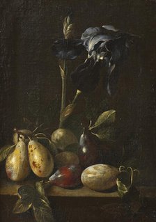 Still Life with an Iris and Plums. Creator: Attributed to Pietro Paolo Bonzi  (1576-1636).