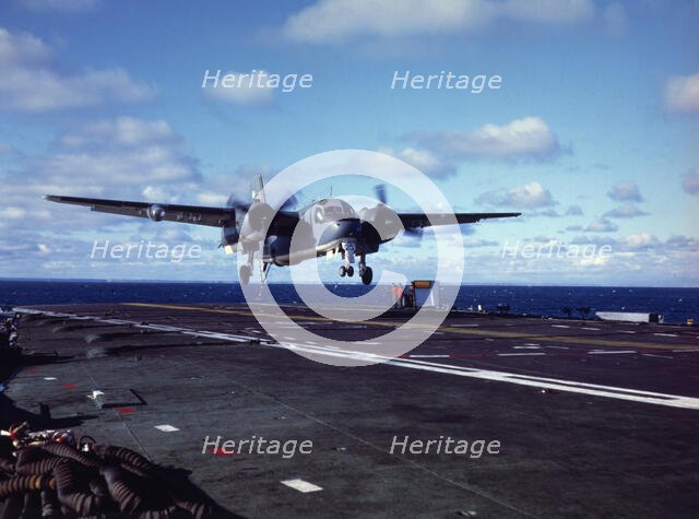 Aircraft, Falklands War, 1982. Creator: Luis Rosendo.