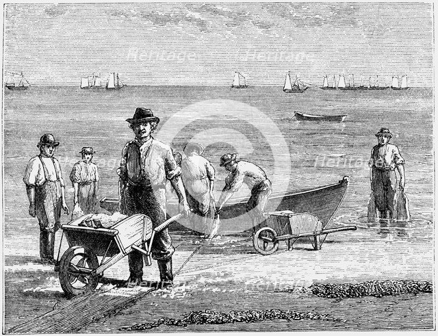 Cape Cod fisherman washing fish, 1875. Artist: Unknown