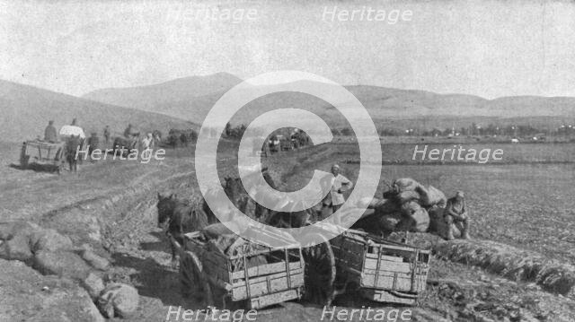 'Apres la prise de Monastir; les difficultes du ravitaillement sur les routes de la vallee..., 1916. Creator: Unknown.