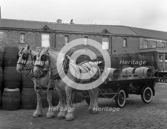 Tetley shire horses and dray, Joshua Tetley Brewery, Leeds, West Yorkshire, 1966. Artist: Michael Walters