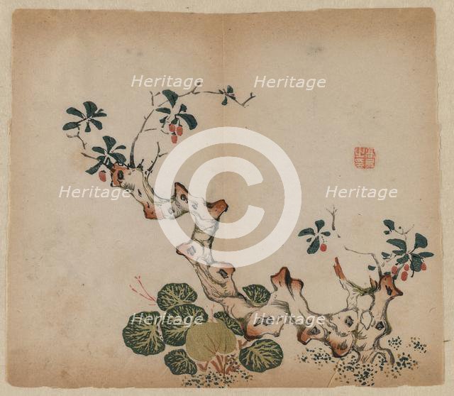 Branching Stump, 1368-1644. Creator: Unknown.