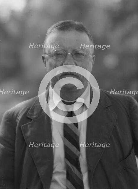 Roosevelt, Theodore, portrait photograph, 1916 Sept. 8. Creator: Arnold Genthe.