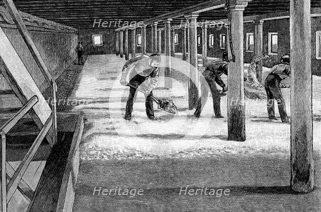 Malting floor in an American brewery, 1885. Artist: Unknown