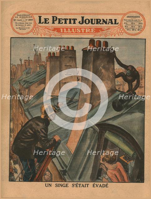 An escaped chimpanzee, 1930. Creator: Unknown.