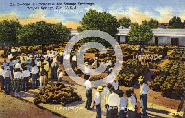 Sale in progress at the sponge exchange, Tarpon Springs, Florida, USA, 1940. Artist: Unknown
