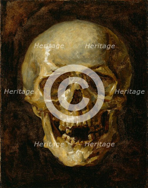 Skull, 19th century. Creator: Unknown.