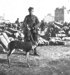 'Marseille en Fete; La gazelle-mascotte du regiment ecossais de l'Afrique du Sud', 1916. Creator: Unknown.