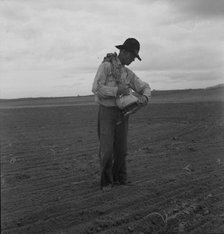 West Texas farmer prepares to sow millet, 1937. Creator: Dorothea Lange.