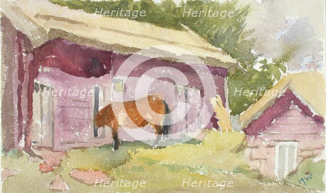 A horse by the shed. Creator: Maria Wiik.