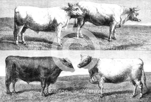 The International Cattle Show at Poissy, 1862. Creator: Harrison Weir.