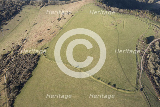 Late Bronze Age hilltop enclosure earthwork on Beacon Hill, near East Harting, West Sussex, 2018. Creator: Historic England Staff Photographer.
