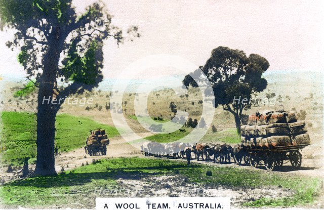 A wool team, Australia, c1920s.Artist: Cavenders Ltd