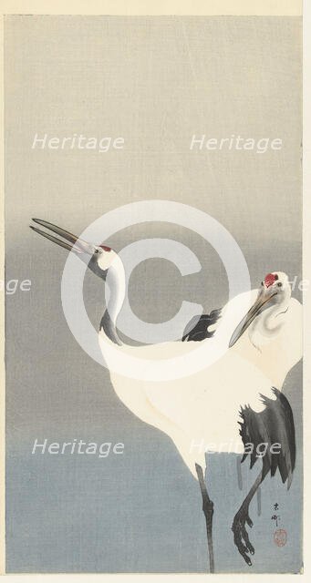 Two cranes, 1920-1930. Creator: Ohara, Koson (1877-1945).