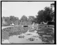 Lily pond, Belle Isle Park, Detroit, Mich., c.between 1900 and 1910. Creator: Unknown.