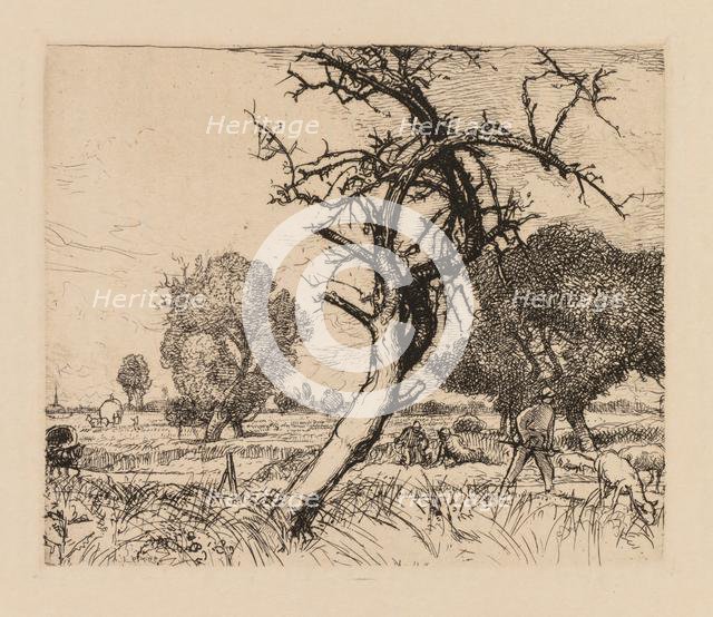 Auguste Lepère: Le pommier mort (Picardie), 1913. Creator: Auguste Louis Lepère (French, 1849-1918).