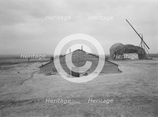 Home of Free family who had lived in Beaver County..., Dead Ox Flat, Malheur County, Oregon, 1939. Creator: Dorothea Lange.