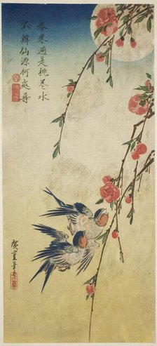 Swallows, peach blossoms, and full moon, 1830s. Creator: Ando Hiroshige.