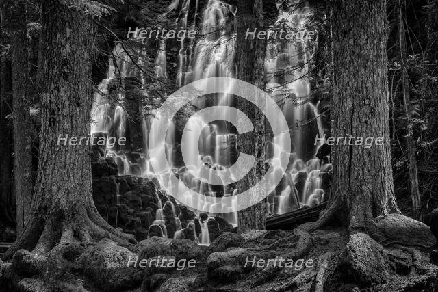 Guarded Dreams. Creator: Joshua Johnston.