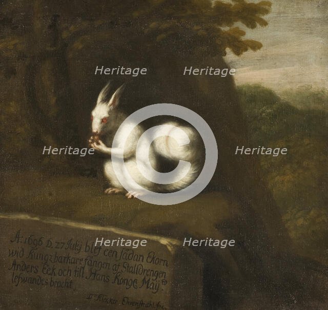 White Squirrel in a Landscape, 1697. Creator: David Klocker Ehrenstrahl.