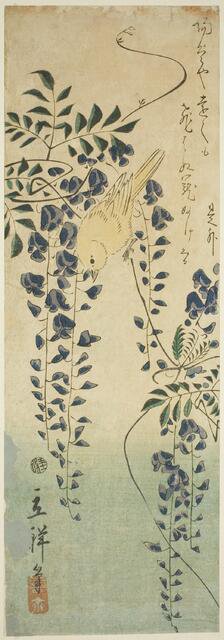 Canary and wisteria, 1865. Creator: Utagawa Hiroshige II.