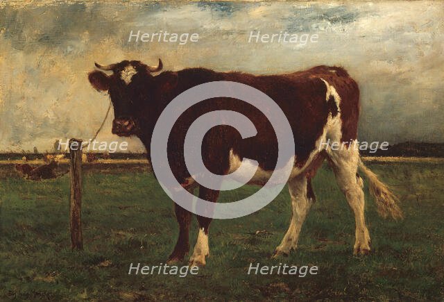 Study of a Cow, 1870/90. Creator: Emile van Marcke de Lummen.