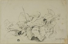 Clump of Leaves and Flowers, 1808/47. Creator: Joshua Cristall.