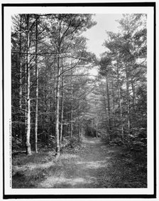 Path to golf links, Hotel Champlain, Bluff Point, N.Y., c.between 1910 and 1920. Creator: Unknown.