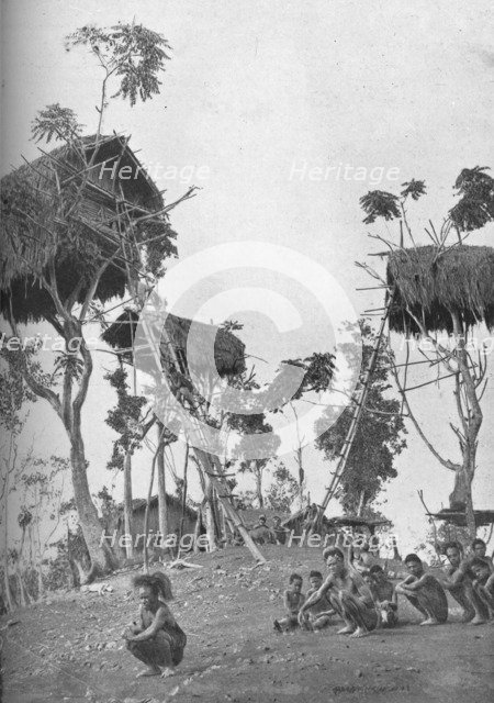 Dobos, tree houses for unmarried women in Melanesia, 1902. Artist: W Lindt.