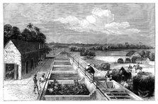 Manufacturing indigo in Tirhoot (Muzaffarpur), Lower Bengal, 1869. Artist: Unknown